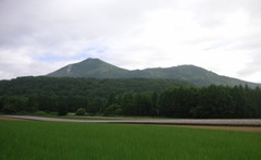 niseko1.JPG