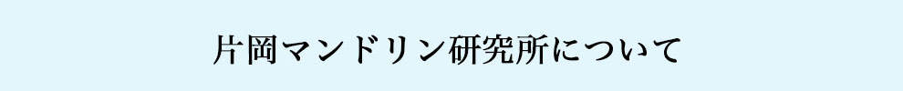 マンドリン研究所について