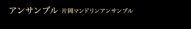 アンサンブル 片岡マンドリンアンサンブル