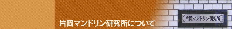 片岡マンドリン研究所について