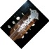 mandolin10.jpg